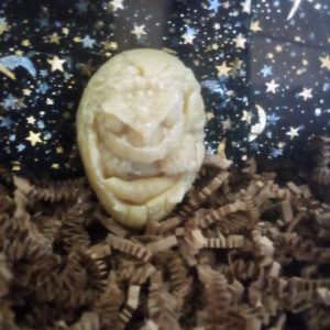 Home Made Goats Milk, Manuka Honey, Oats and Jojoba Oil. Musk scented. Dragon in a Egg